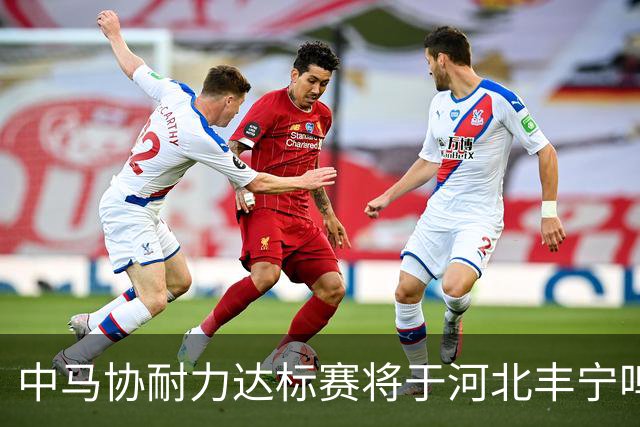 中马协耐力达标赛将于河北丰宁鸣枪 数十家专业马术俱乐部角逐