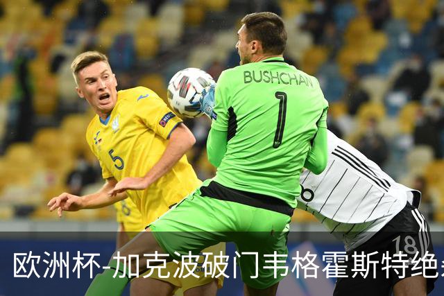欧洲杯-加克波破门韦格霍斯特绝杀 荷兰2-1波兰