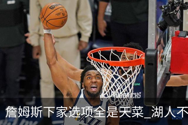 詹姆斯下家选项全是天菜 湖人不给的体面这些队能给